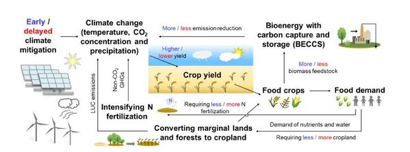 低碳发展技术先行(图1)
